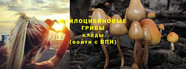 mix Абаза