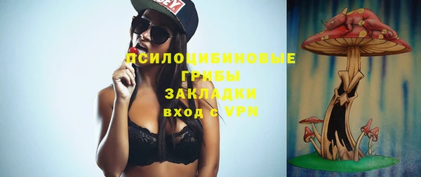гидра Покачи