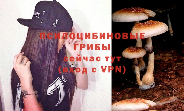 стафф Абдулино