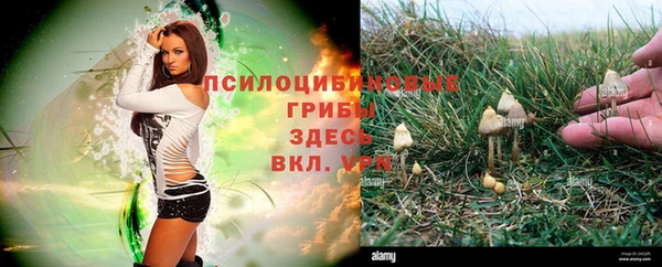 mix Абаза