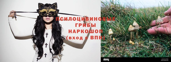 стафф Абдулино
