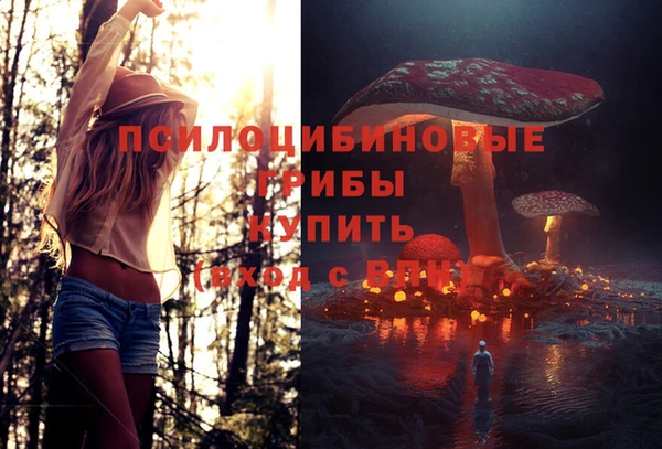 трава Абинск