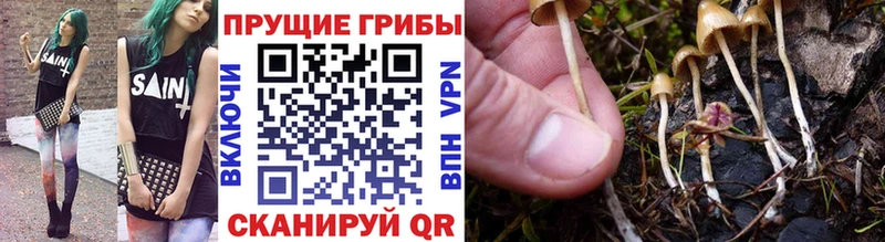 продажа наркотиков  Барнаул  МЕГА ссылки  Галлюциногенные грибы мухоморы 