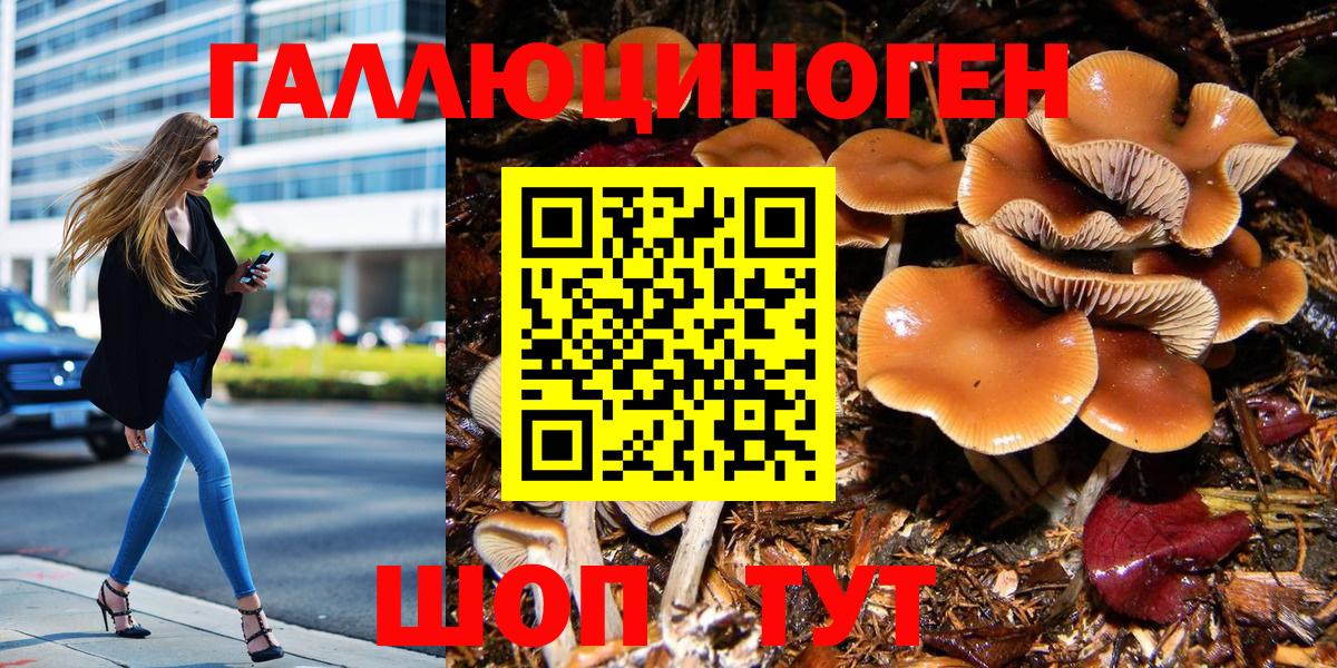 Галлюциногенные грибы Cubensis Барнаул